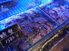 -渔民船说·北塘海鲜·天津菜·海肠捞饭(北塘古镇店)