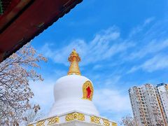 -护国法轮寺