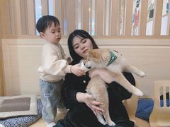 -柴犬小屋·柴餐厅·狗咖食堂(金鼎广场店)