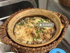 -百利鸽王(紫薇路店)