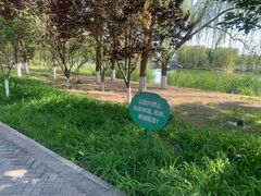 -大兴滨河森林公园