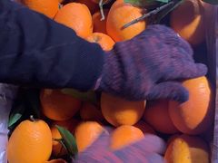 -菜园坝水果市场