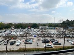-长洲岛