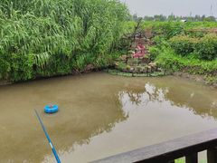 -樂桃源奉贤黄桃种植采摘基地
