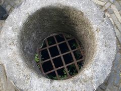 -上海佘山国家森林公园天马山园