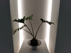 -颜蕾医美·黄金微针·水光·玻尿酸·超声炮·抗衰中心