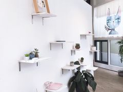 -有猫主题·治愈系猫咖(曾厝垵店)
