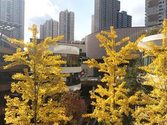 -瑞虹新天地月亮湾
