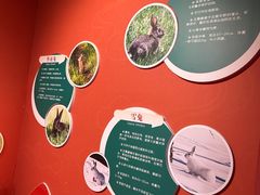 -浙江自然博物院(杭州馆)