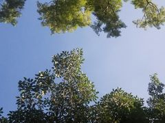 -燊意布拉肠云吞面(中山四路店)