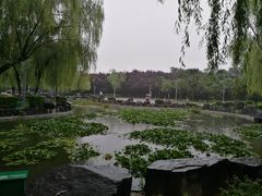 -赛百味SUBWAY(高新店)