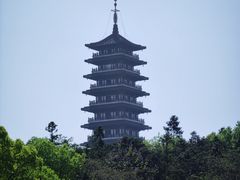 -宜兴龙背山森林公园