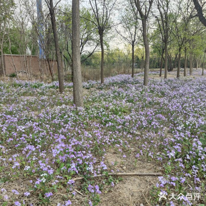 坝河休闲公园图片