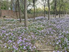 -坝河休闲公园