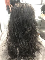 -YESIDO椰岛造型