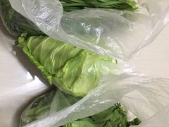 -前小桔亲子创意农场·草莓采摘·露营烧烤