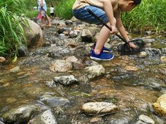 -碓臼峪自然风景区