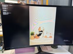 -大连棒棒糖儿童摄影(熊洞街店)