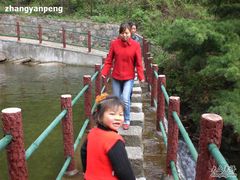 -王顺山国家森林公园