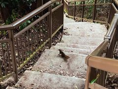 -花柏山公园