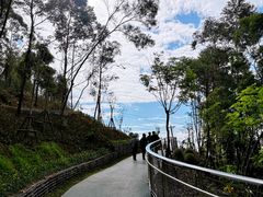-仙岳公园