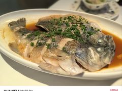 -桂满陇·杭州饭店(清河万象店)