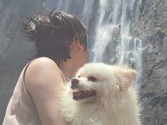 -刘伯温故里景区百丈漈