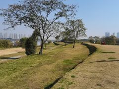 -盘龙城国家考古遗址公园