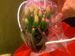 -海底捞火锅(银泰中心店)