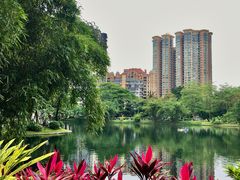 -晓港公园