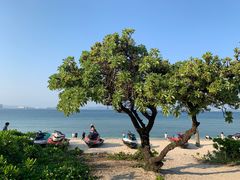 -三亚蜈支洲岛旅游区
