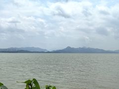 -深圳湾公园(南山区)