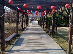 -白马涧龙池景区