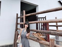 -杭州湾海上花田景区