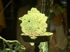 -甘肃省博物馆