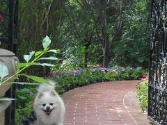 -天鹅湖生态旅游风景区