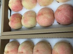 -鲜力达果品批发直销(青山店)