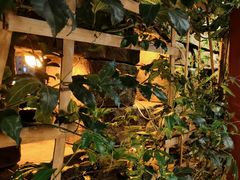 -山壹竹庭院餐厅