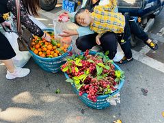 -新鸿港水果市场