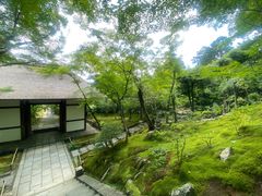 -常寂光寺