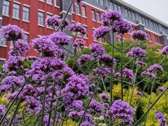 -上海市惠民中学