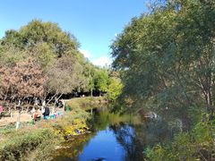 -长白岛森林公园