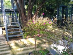 -谷咖啡·鲜花绿植花园餐厅