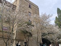 -武汉大学-樱园