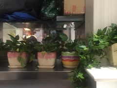 大堂-对角巷茶餐厅(海星广场店)