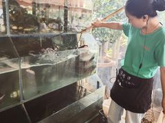 -沣峪鱼庄
