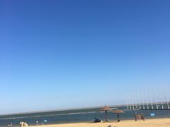 -碧海金沙