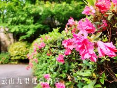 -云山九里度假酒店蝶庐阁中餐厅