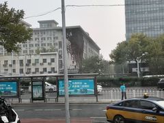 -北京观赏动物医院·24小时大型综合·猫专科·异宠专科