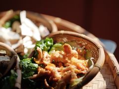 -滇野云南野生菌餐厅(陕西南路店)